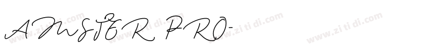 AMSTER PRO字体转换